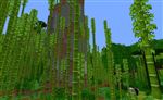 Collines de jungle de bambous