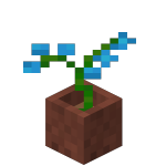 Orchidée bleue en pot<br>