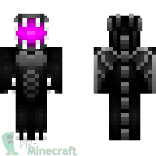 Aperçu de la skin Minecraft EnderDragon