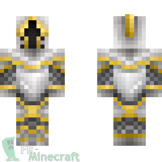 Aperçu de la skin Minecraft Paladin