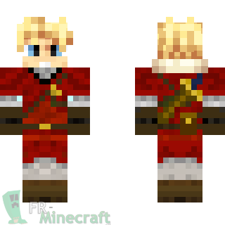 Aperçu de la skin Minecraft Roi