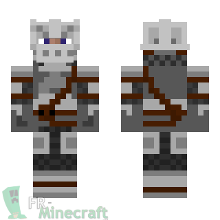 Aperçu de la skin Minecraft Steve Chevalier armure