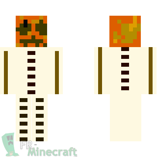 Aperçu de la skin Minecraft bonhomme de neige