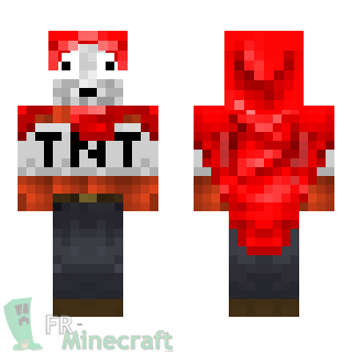 Aperçu de la skin Minecraft Homme TNT