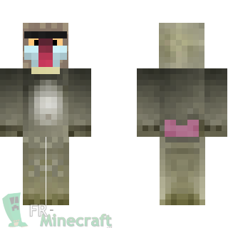 Aperçu de la skin Minecraft Babouin