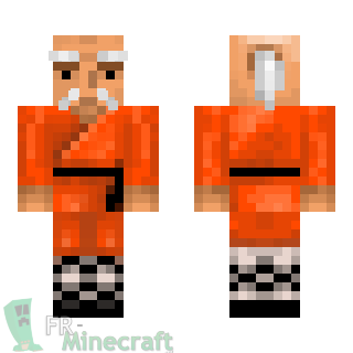 Aperçu de la skin Minecraft Maitre du Karaté