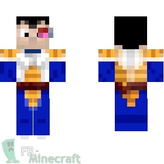 Aperçu de la skin Minecraft Vegeta - Dragon Ball Z