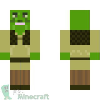 Aperçu de la skin Minecraft Shrek