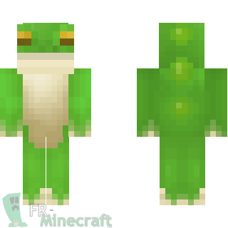 Aperçu de la skin Minecraft Grenouille