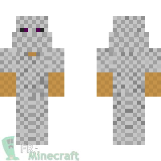 Aperçu de la skin Minecraft Bandit