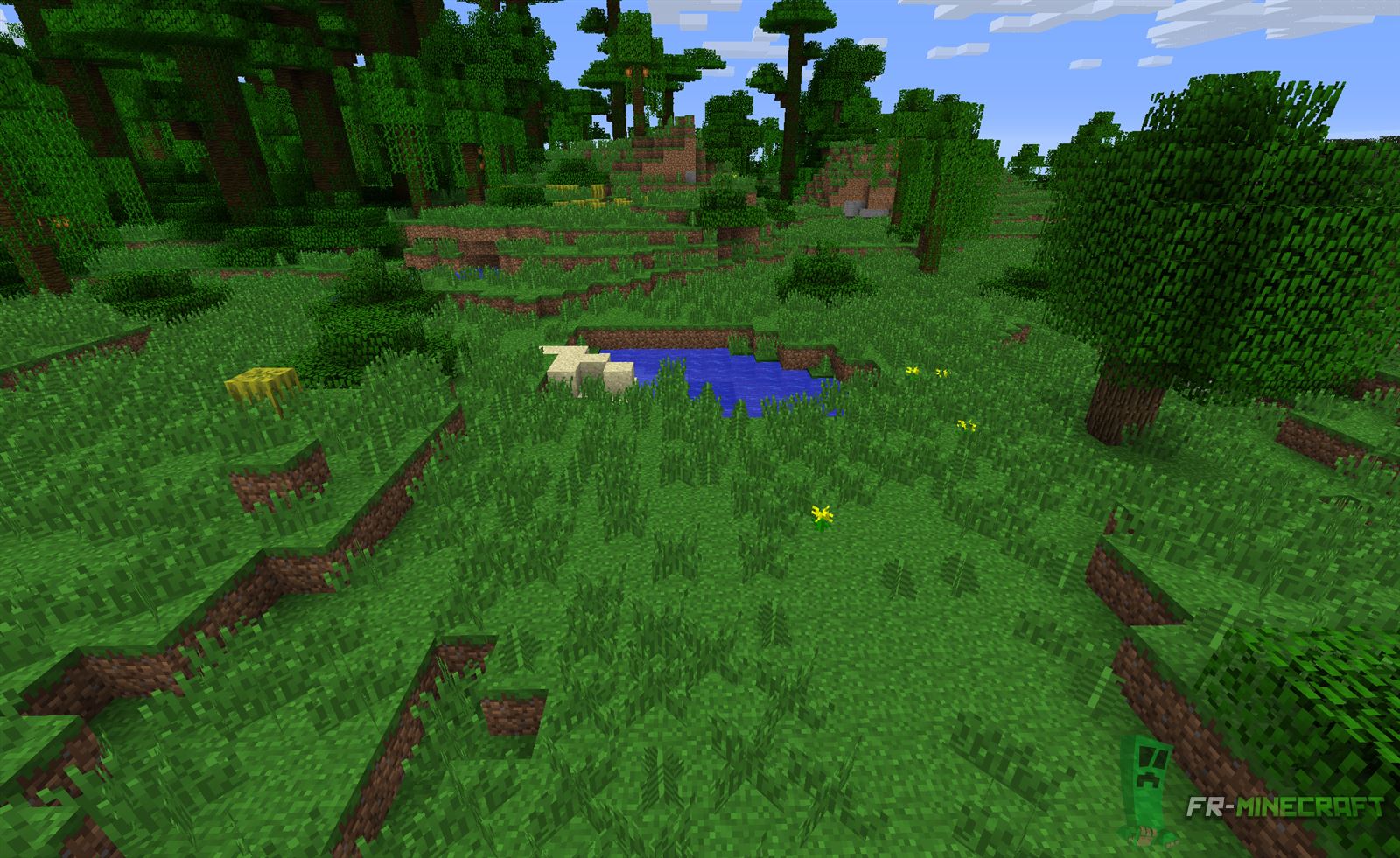 Jungle edge biome