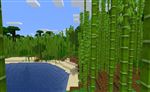 Jungle de bambous
