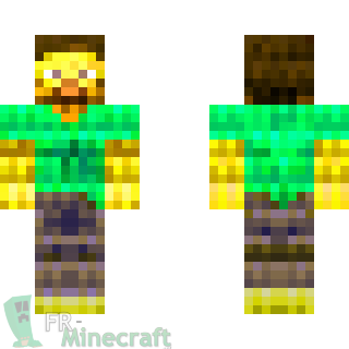 Aperçu de la skin Minecraft Steve en or