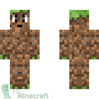 Aperçu de la skin Minecraft Bloc de Terre