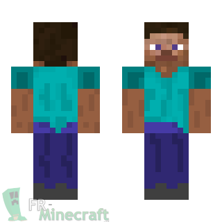 Aperçu de la skin Minecraft Steve à l'envers